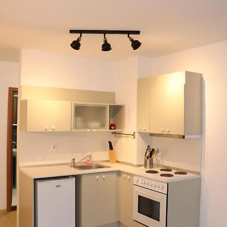 50m From Piste 1 Bedroom In Predela 2 Apartment Bansko