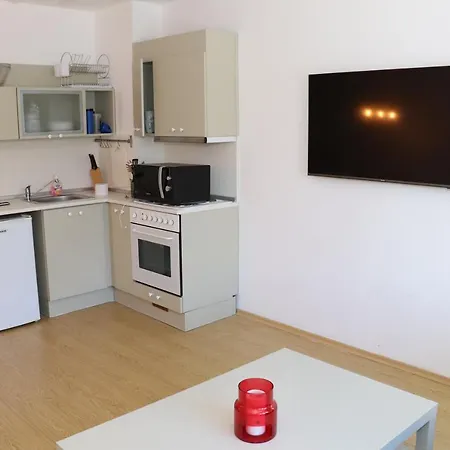 Apartamento 50m From Piste 1 Bedroom In Predela 2